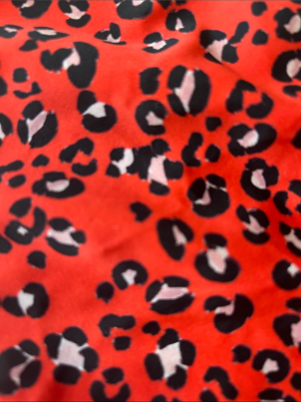 NWT Figleaves Red Leopard Print Bikini Bottom (12) - Picture 4 of 6